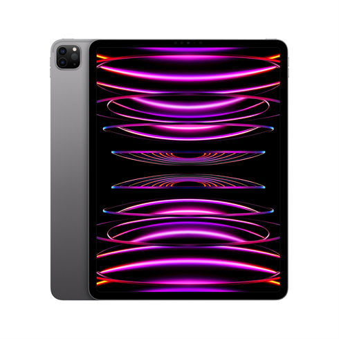 iPad Pro 12,9" (2022) WiFi 128GB - Space Gray
